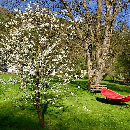 Spiele- Und Buchhotel Tschitscher Nikolsdorf Dış mekan fotoğraf